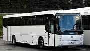 Автобусы КАМАЗ отозвали с рынка